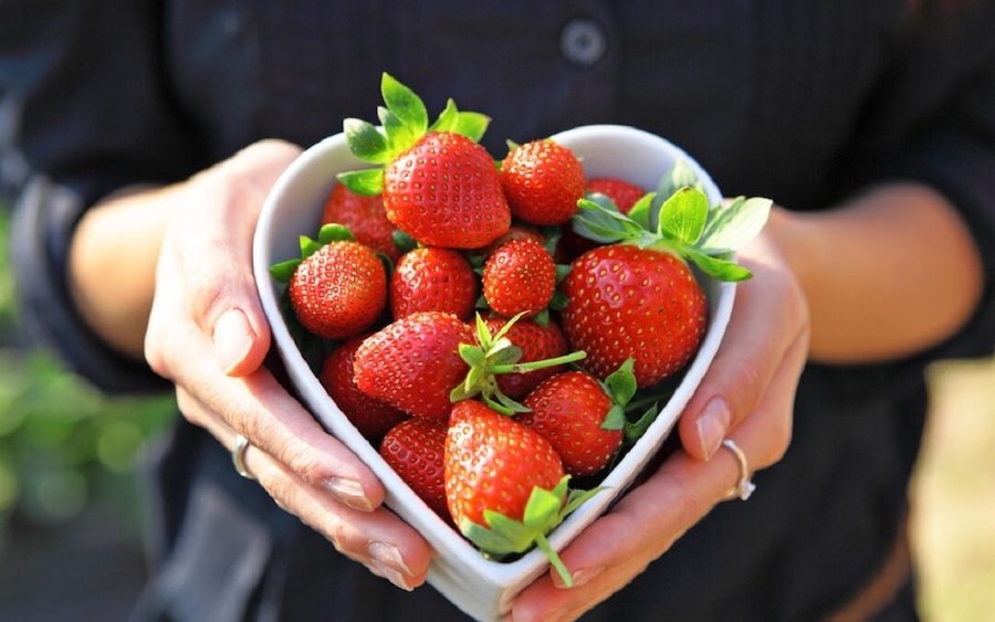 Valentines Day Strawberries