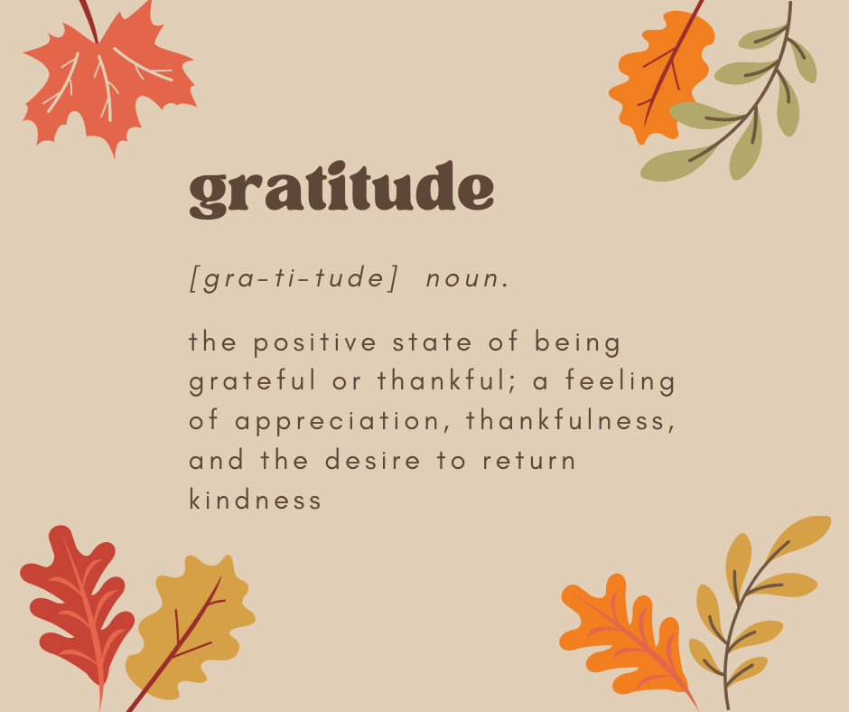 Gratitude Thankfulness Blog Post